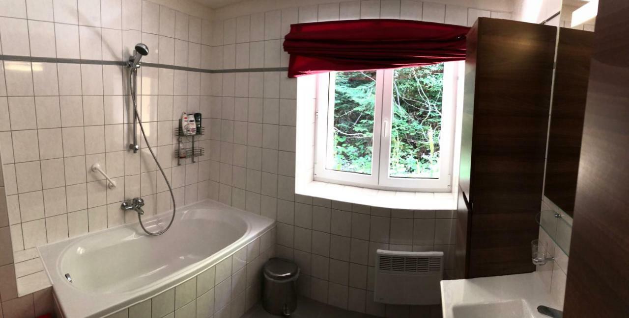 Apartman Poustevnik 派克波特斯耐兹库 外观 照片